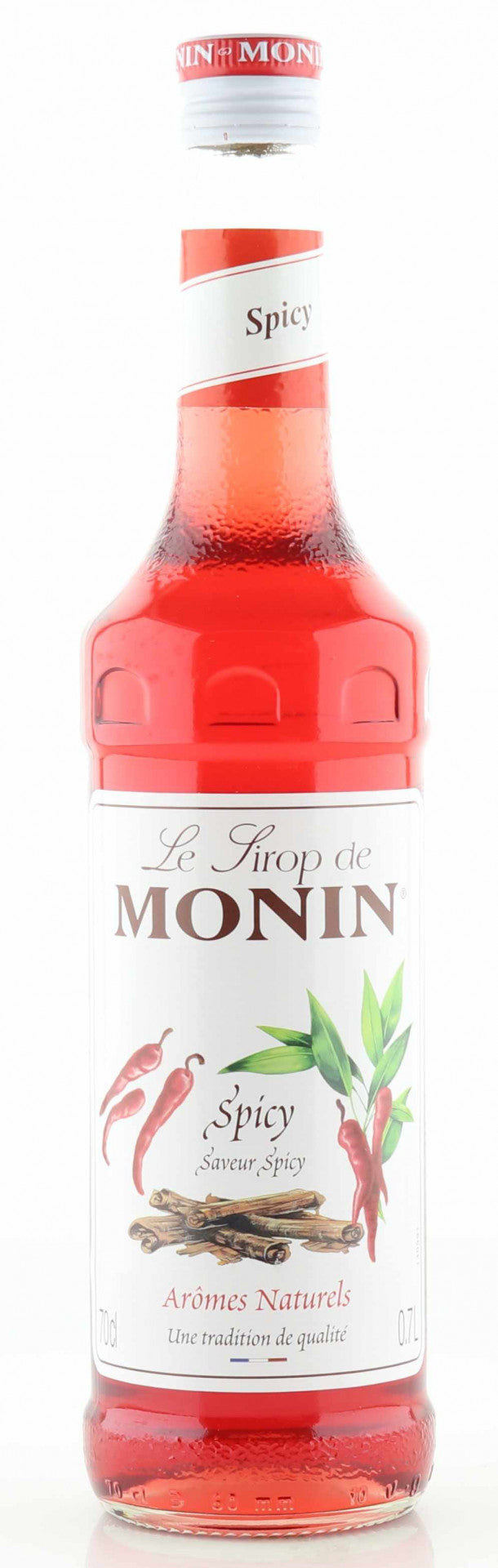 Monin Sirup Spicy 0,7L